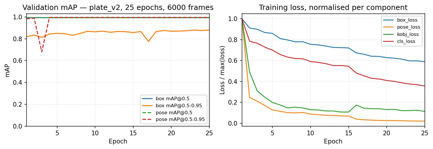 YOLOv8n-pose training curves